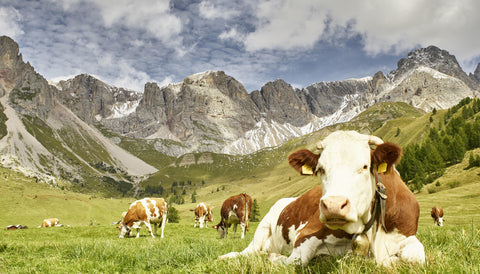 Val di Fassa