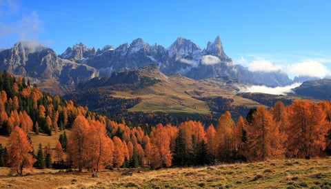 Val di Fiemme