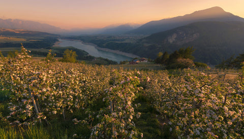 Val di Non