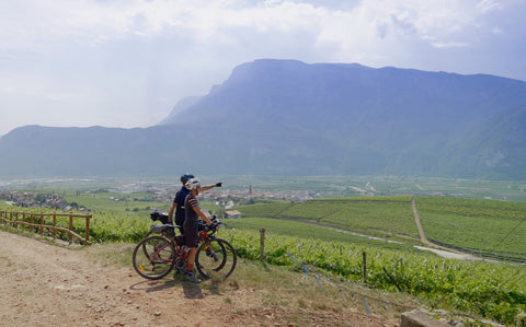Discover the wines of the Piana Rotaliana by bicycle