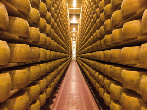CONSORZIO TRENTINGRANA - Gruppe Trentiner Käse