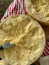 Laden Sie das Bild in den Galerie-Viewer, Trentingrana, forma, grana trentino, formaggio grana trentino