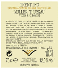 Laden Sie das Bild in den Galerie-Viewer, Trentino DOC Mueller Thurgau Rio Romini