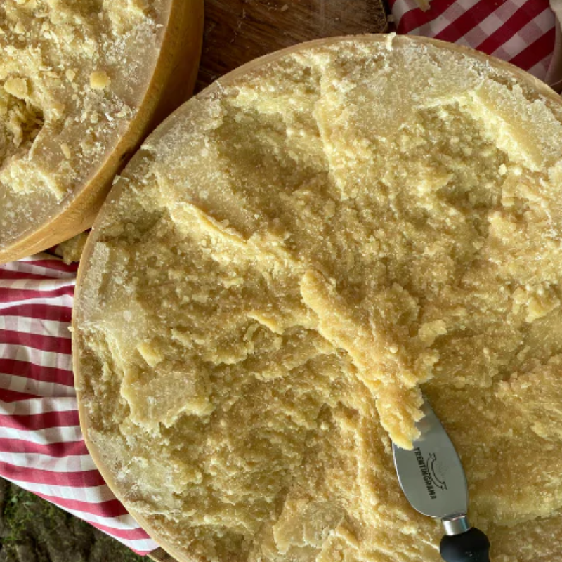 Cialde di Trentingrana