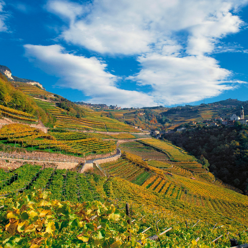 Altopiano di Pinè e Valle di Cembra