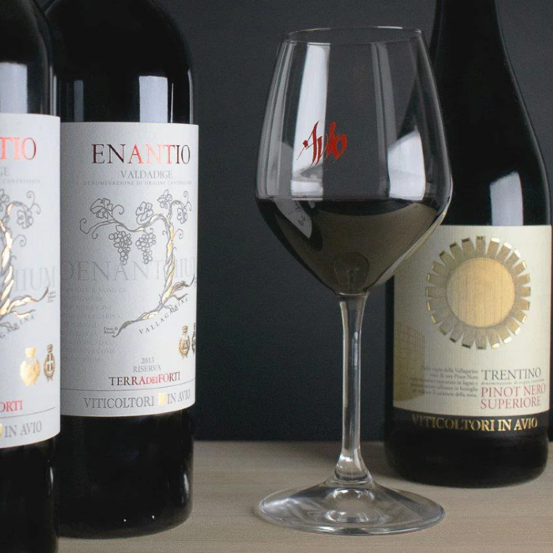 Cantina sociale di Avio