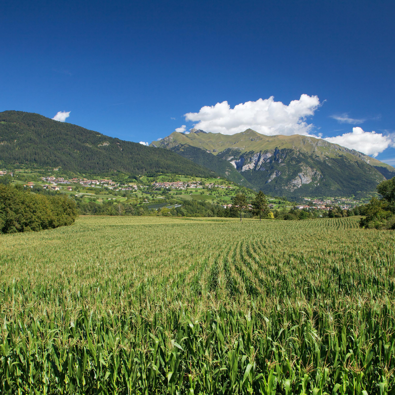 Panorama montano Giudicarie e Rendena - InTrentino 