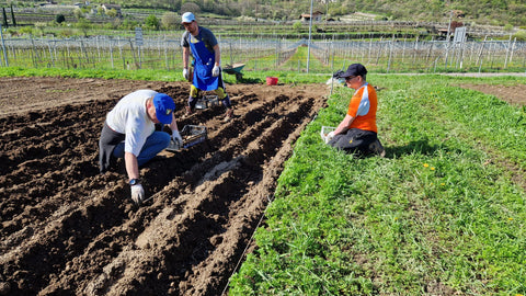 Mi Coltivo - Cooperativa Sociale Villa Maria