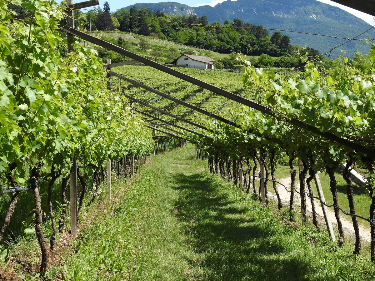 Una "primavera" di attività per la biodiversità