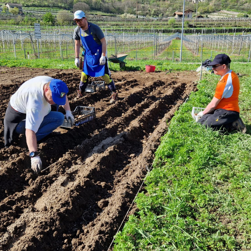 Mi Coltivo - Cooperativa Sociale Villa Maria