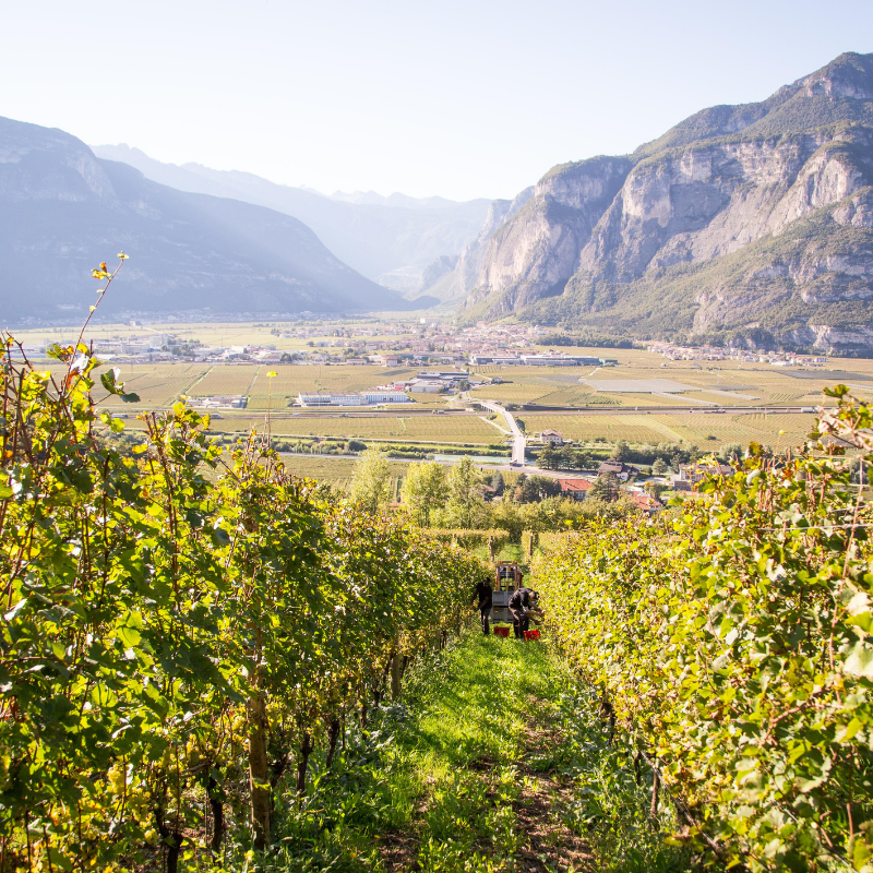 Rotaliana e Paganella