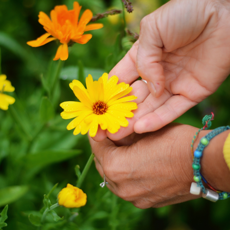 Terre Altre - Agricoltura naturale di montagna