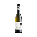 Chardonnay Cortuta