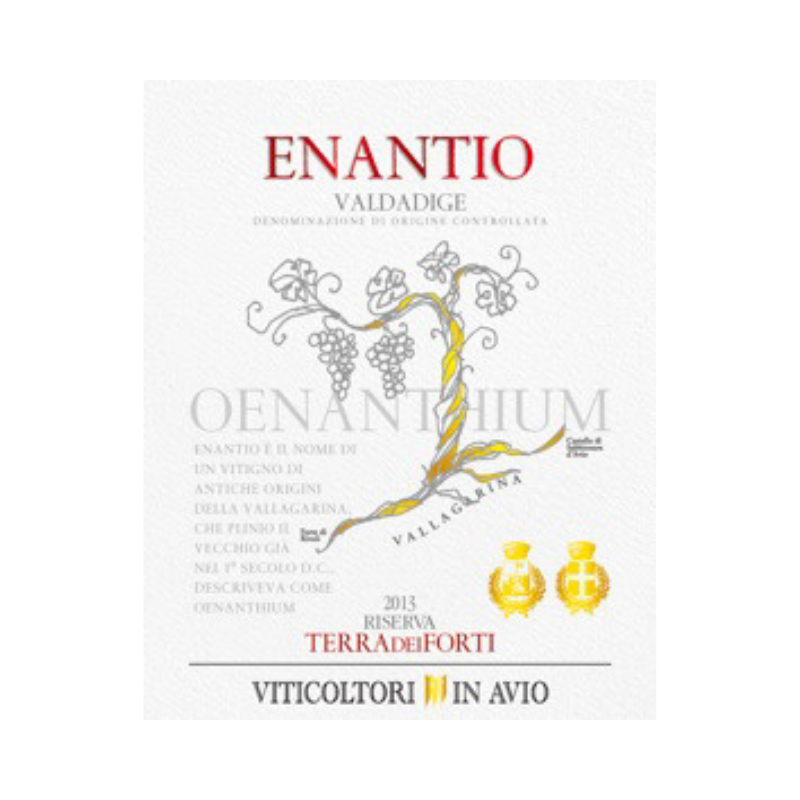Enantio Terra dei Forti “Riserva"