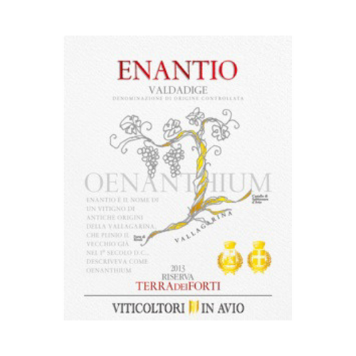 Enantio Terra dei Forti “Riserva"