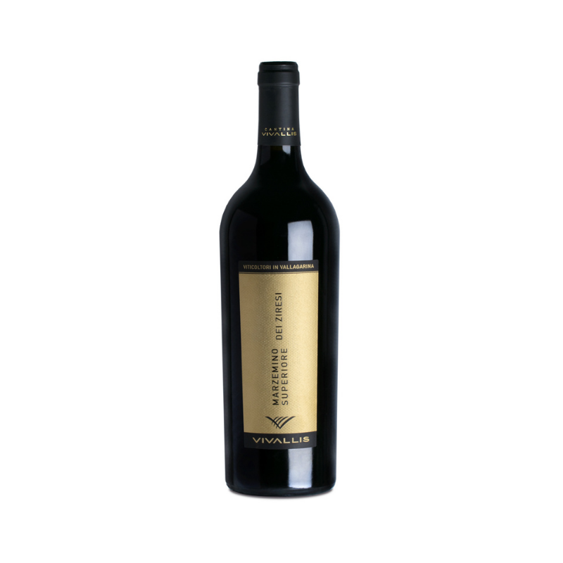 Trentino DOC Superiore Marzemino dei Ziresi - wine