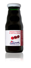 Load image into Gallery viewer, Succoso: cranberry juice
