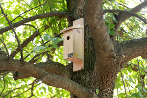Larch nest box