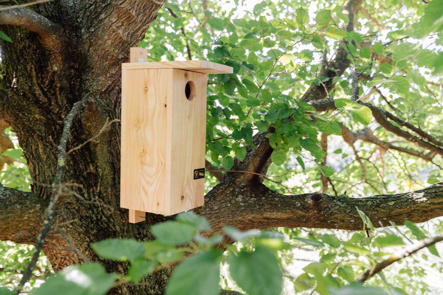 Cassetta nido in larice