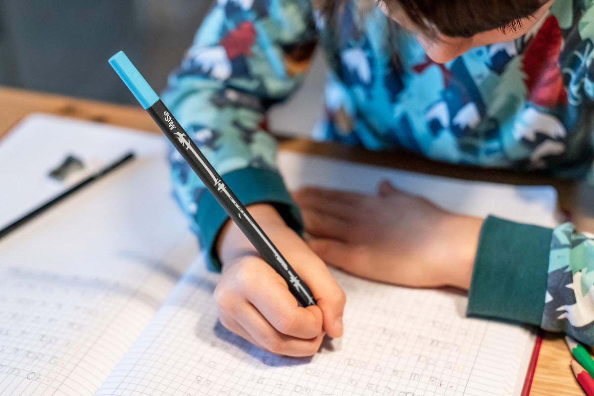 La matita Perpetua, Sketch by Renzo Piano