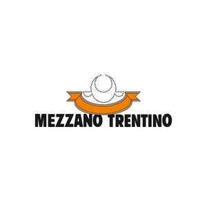 Mezzano cheese from Trentino High Mountain